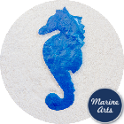 8554BL - Capiz Sea Horses - 80mm - Single Drilled Hole